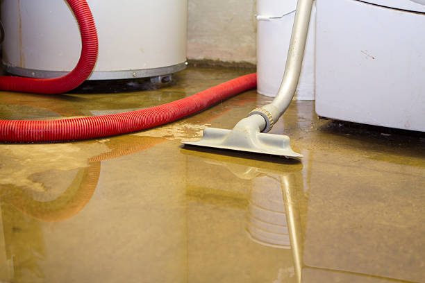 Best Emergency Water Extraction Services in USA